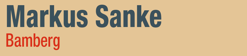 Kopf Markus Sanke